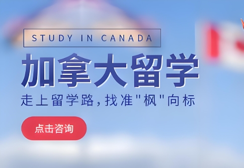 名单盘点:国内动画设计专业有名气的加拿大留学申请咨询机构精选名单汇总一览