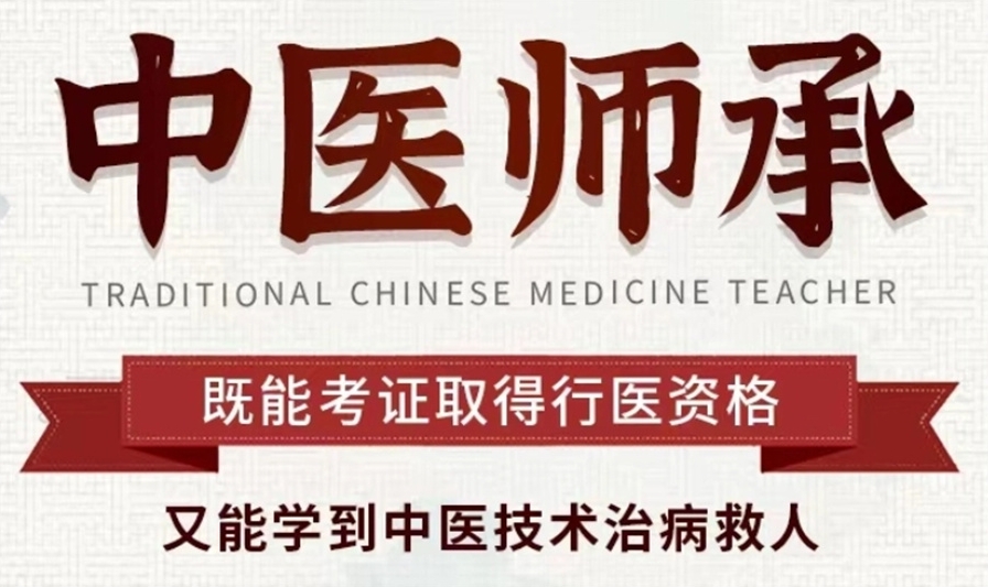  2025年度培训机构综合实力大盘点|中医学习“指南针”