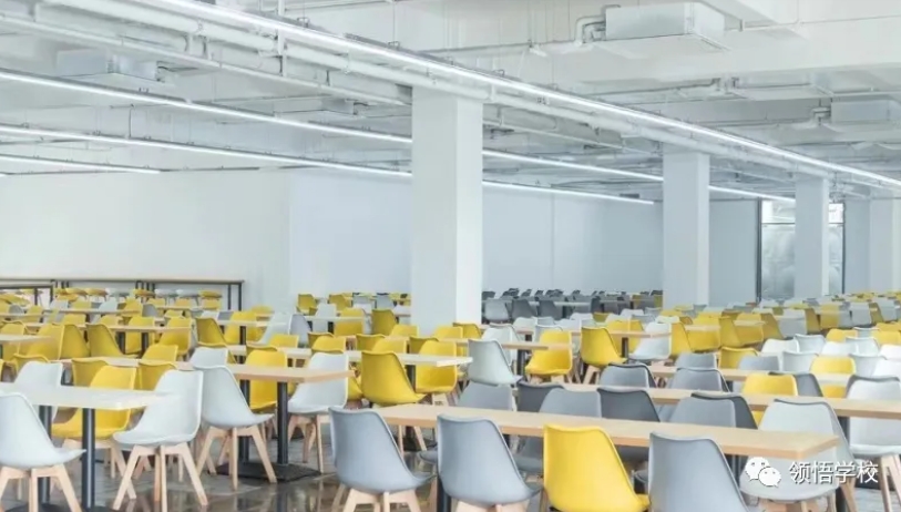 石家庄双语播音艺考集训班-播音主持艺考培训机构